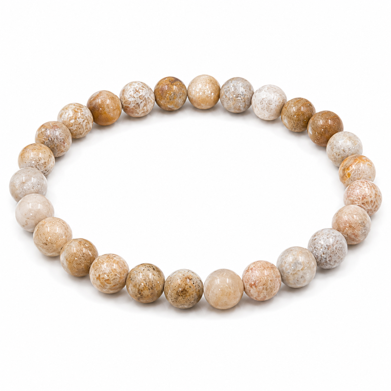 Coral Fossil Bracelet – Premium Natural Gemstone 8mm Stretch Bracelet