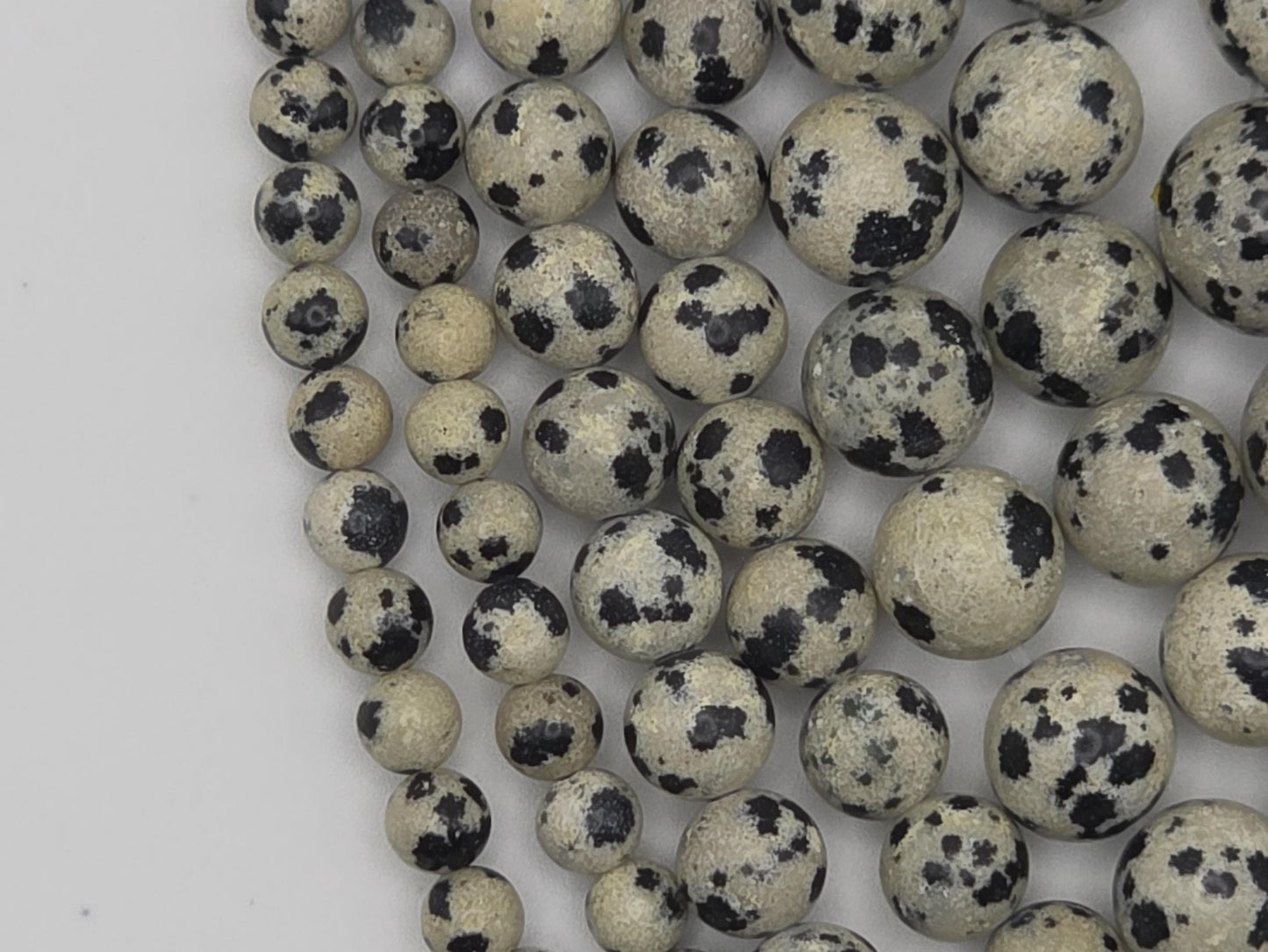 Dalmatian Jasper Round beads, White with Spots - 15.5" Strand