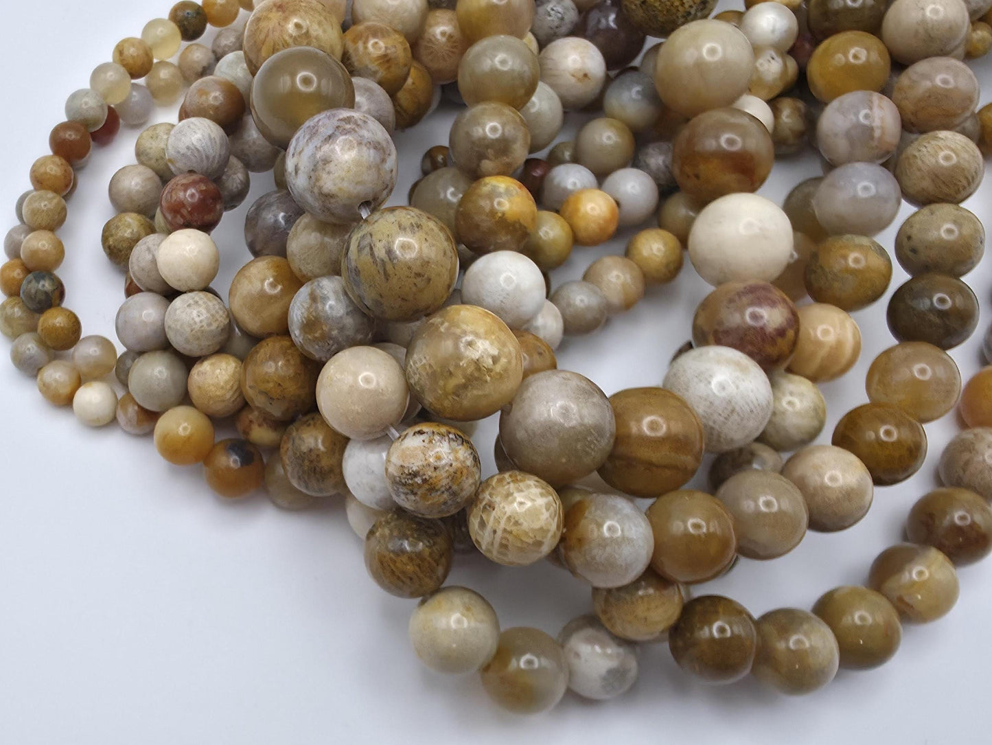 Coral Fossil Round beads AAA Grade, Patterned Beige - 15.5" Strand