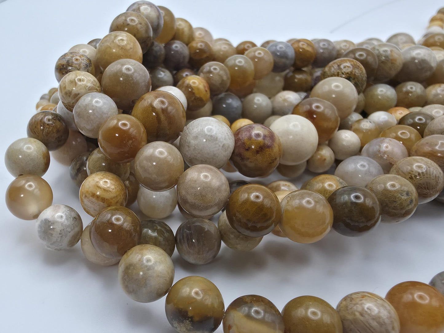 Coral Fossil Round beads AAA Grade, Patterned Beige - 15.5" Strand
