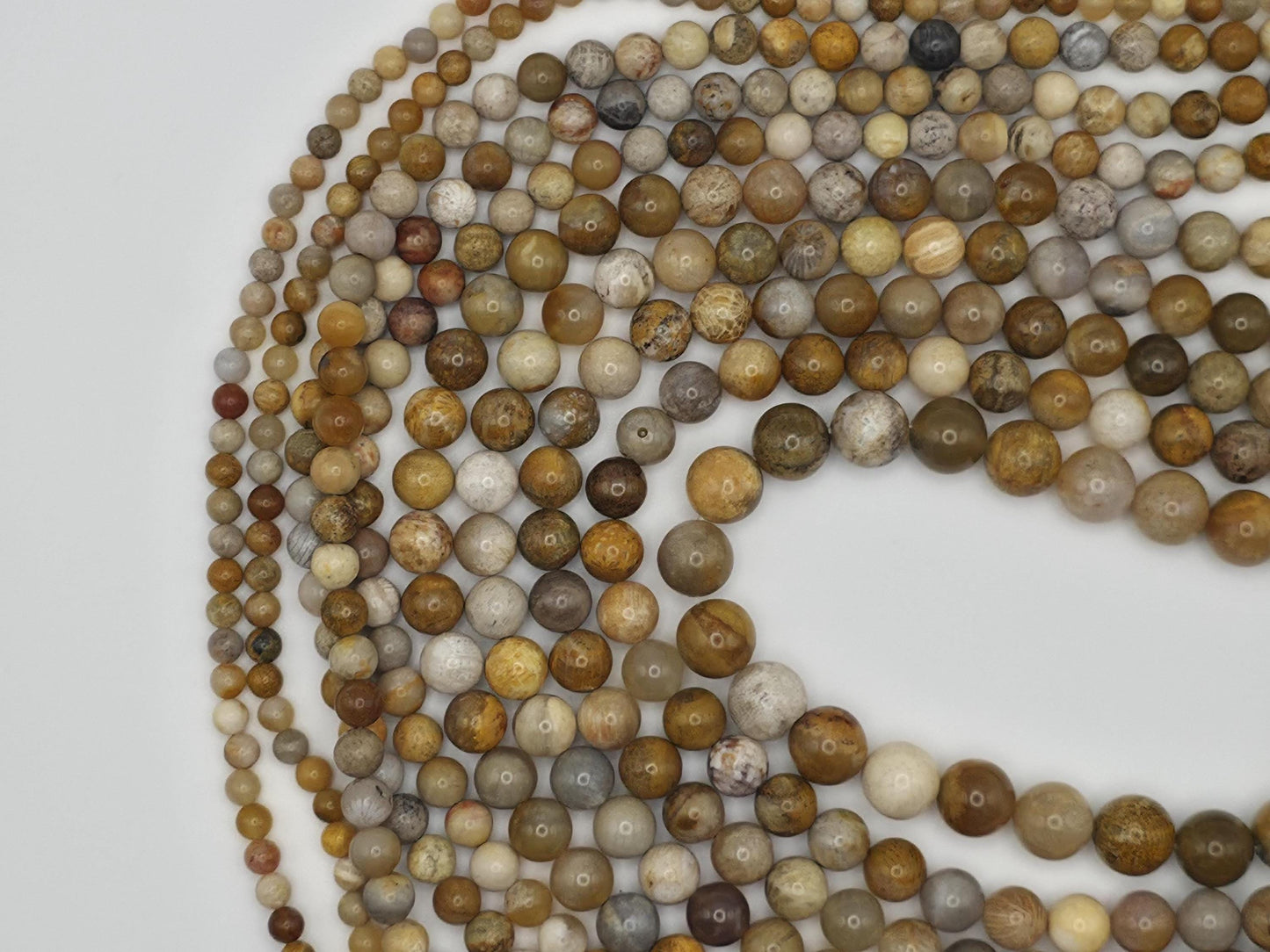 Coral Fossil Round beads AAA Grade, Patterned Beige - 15.5" Strand