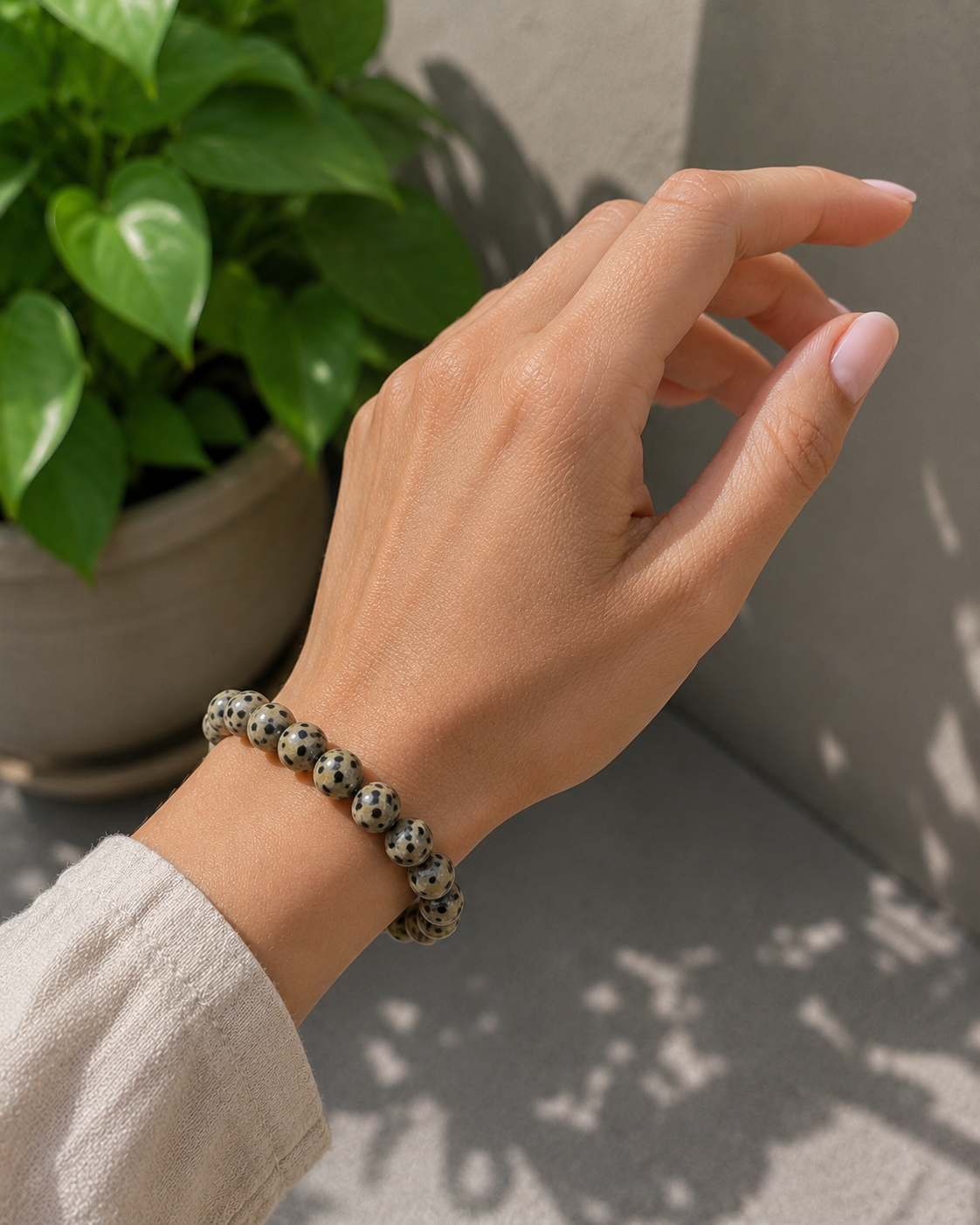 Dalmatian Jasper Bracelet – Premium Natural Gemstone 8mm Stretch Bracelet