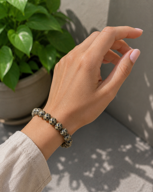 Dalmatian Jasper Bracelet – Premium Natural Gemstone 8mm Stretch Bracelet