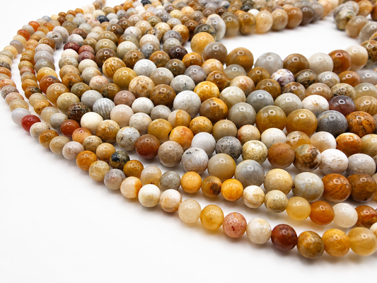 Coral Fossil Round beads AAA Grade, Patterned Beige - 15.5" Strand
