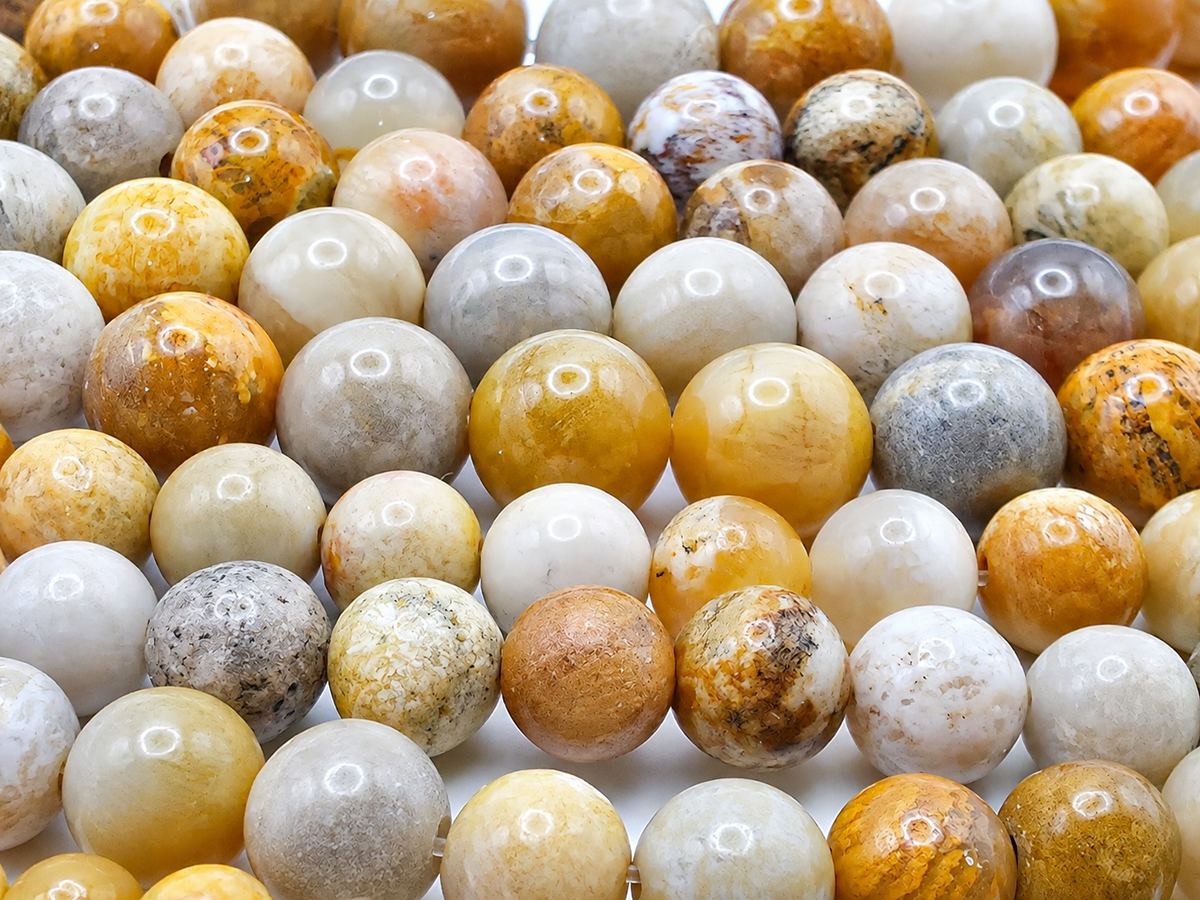 Coral Fossil Round beads AAA Grade, Patterned Beige - 15.5" Strand