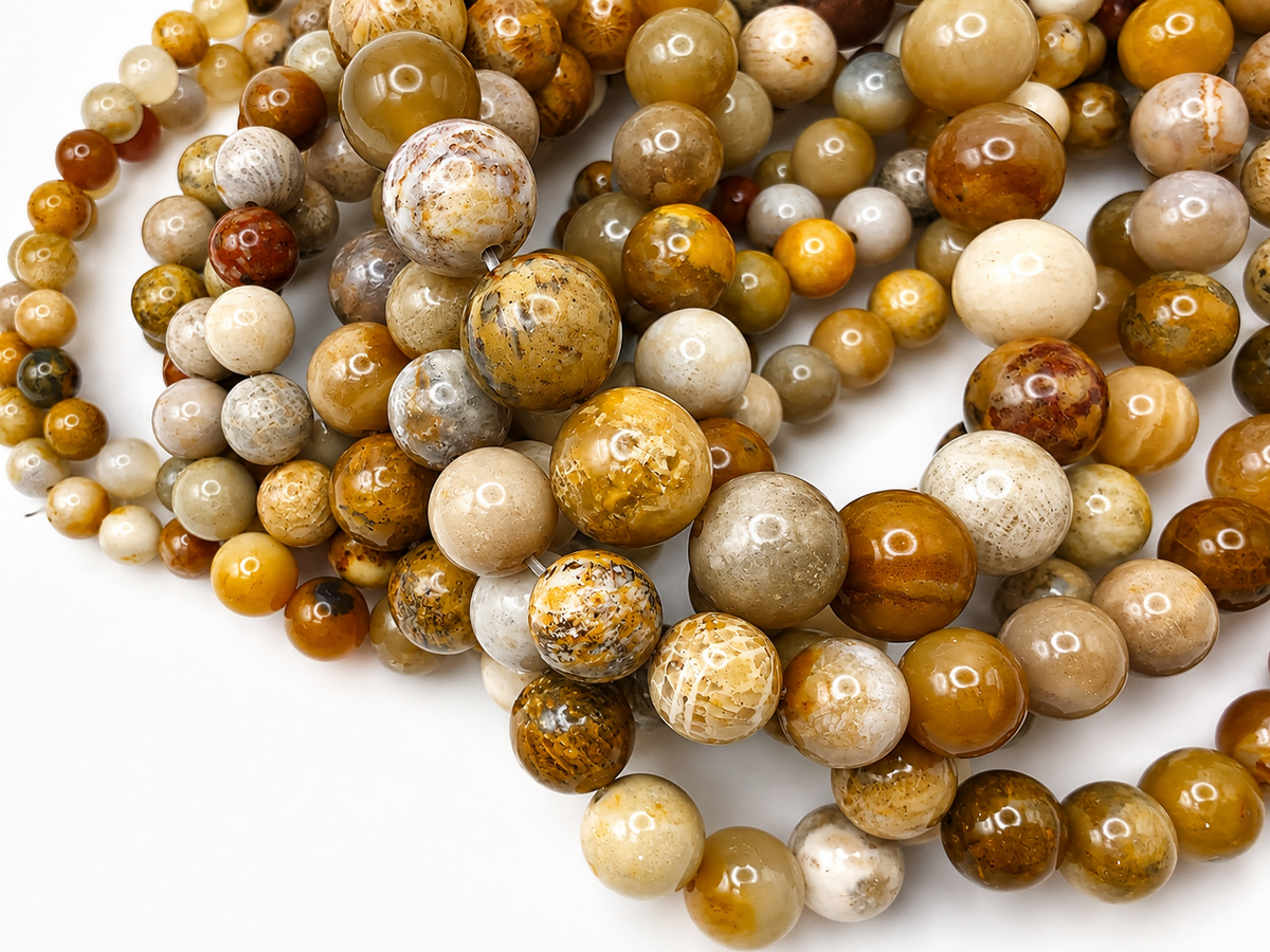 Coral Fossil Round beads AAA Grade, Patterned Beige - 15.5" Strand