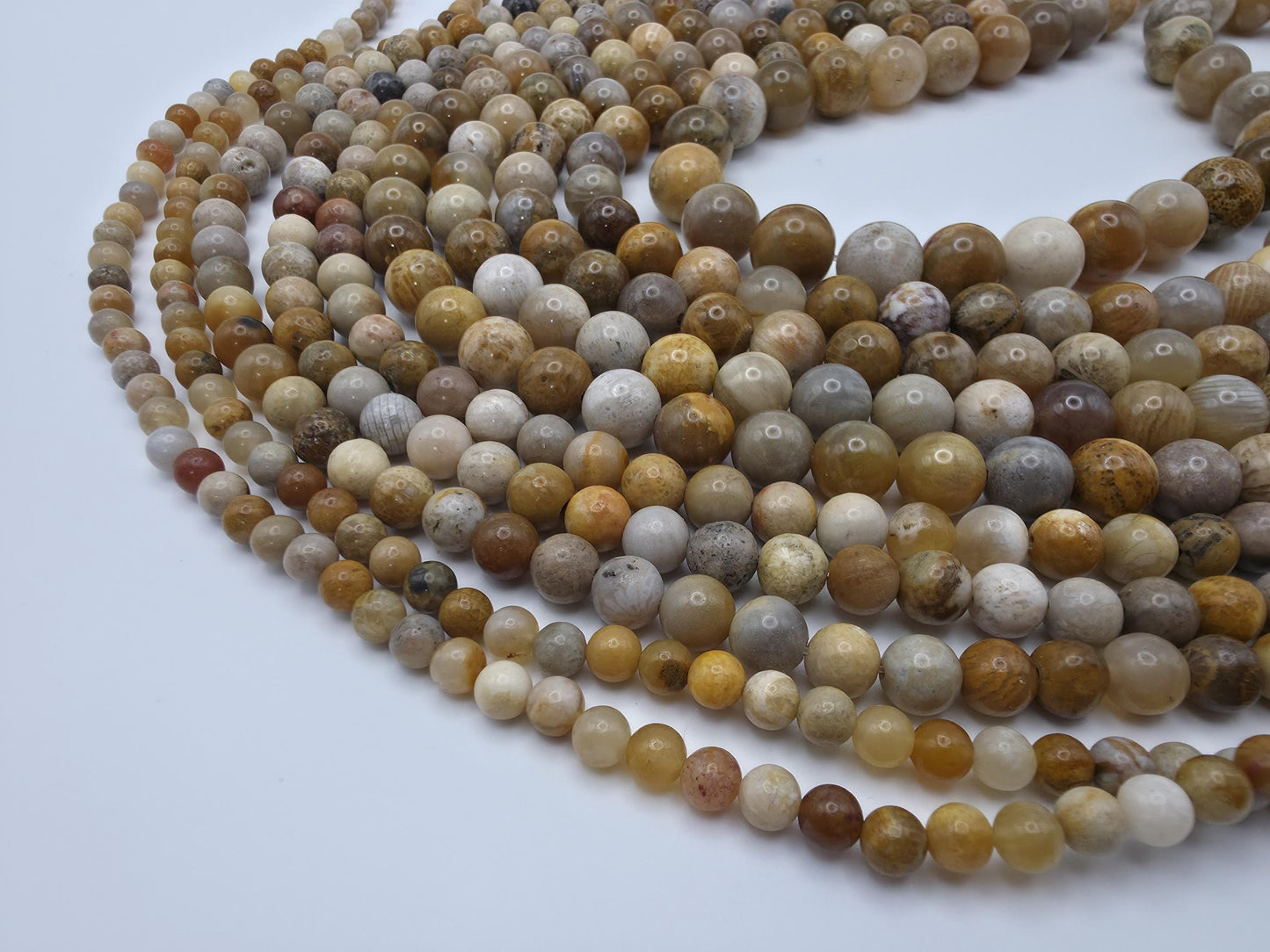 Coral Fossil Round beads AAA Grade, Patterned Beige - 15.5" Strand