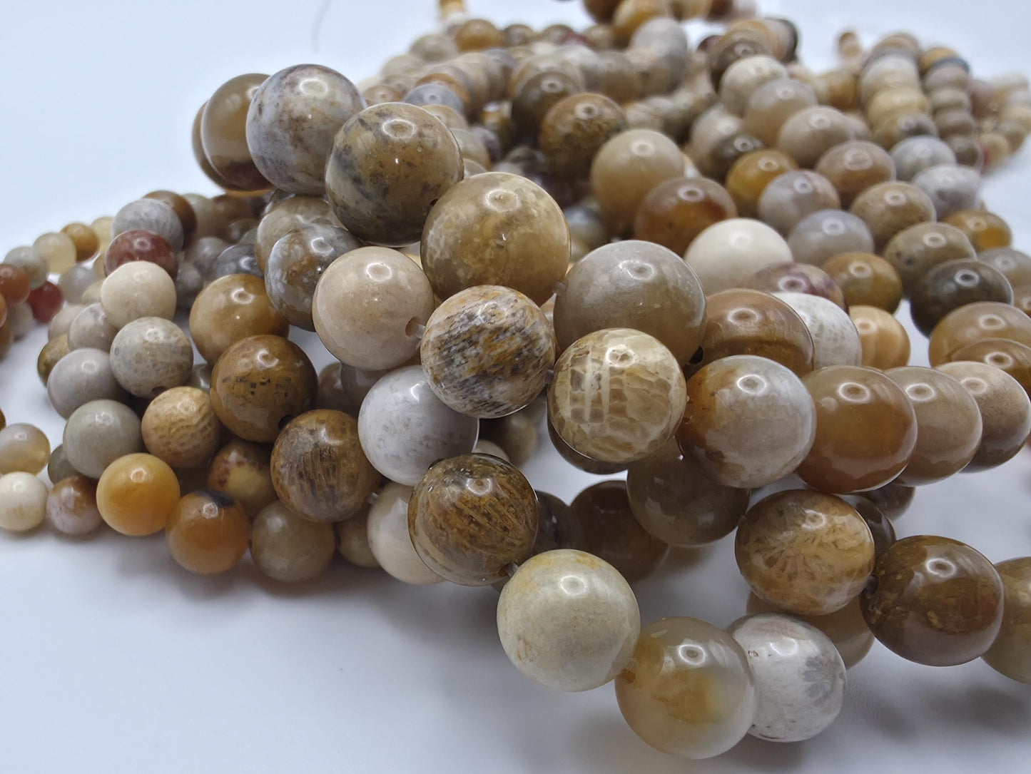 Coral Fossil Round beads AAA Grade, Patterned Beige - 15.5" Strand