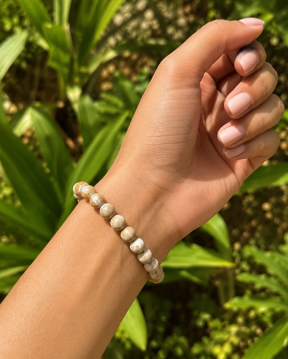 Coral Fossil Bracelet – Premium Natural Gemstone 8mm Stretch Bracelet