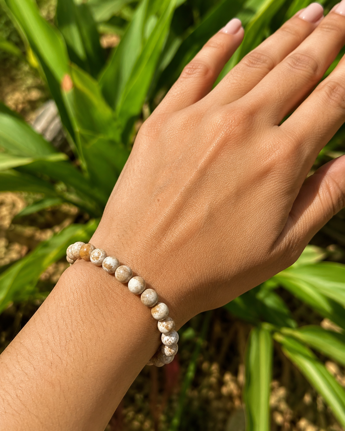 Coral Fossil Bracelet – Premium Natural Gemstone 8mm Stretch Bracelet